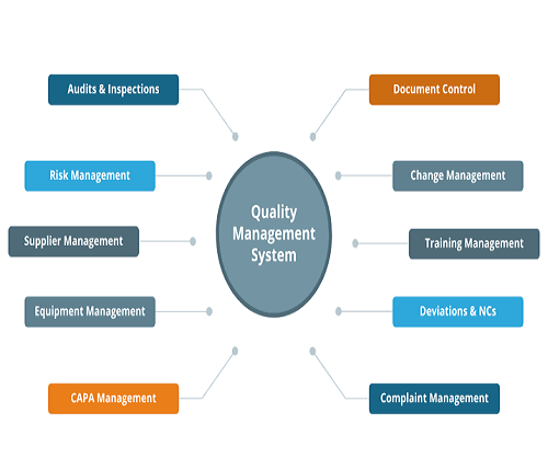 Quality Management Systems compliance review and process mapping